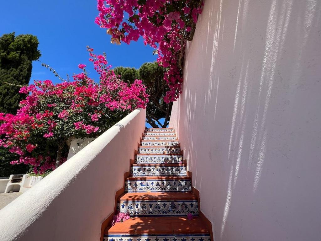 Traditional 3 Bedroom Villa With Great Pool In The Heart Of فالي دو لوبو المظهر الخارجي الصورة